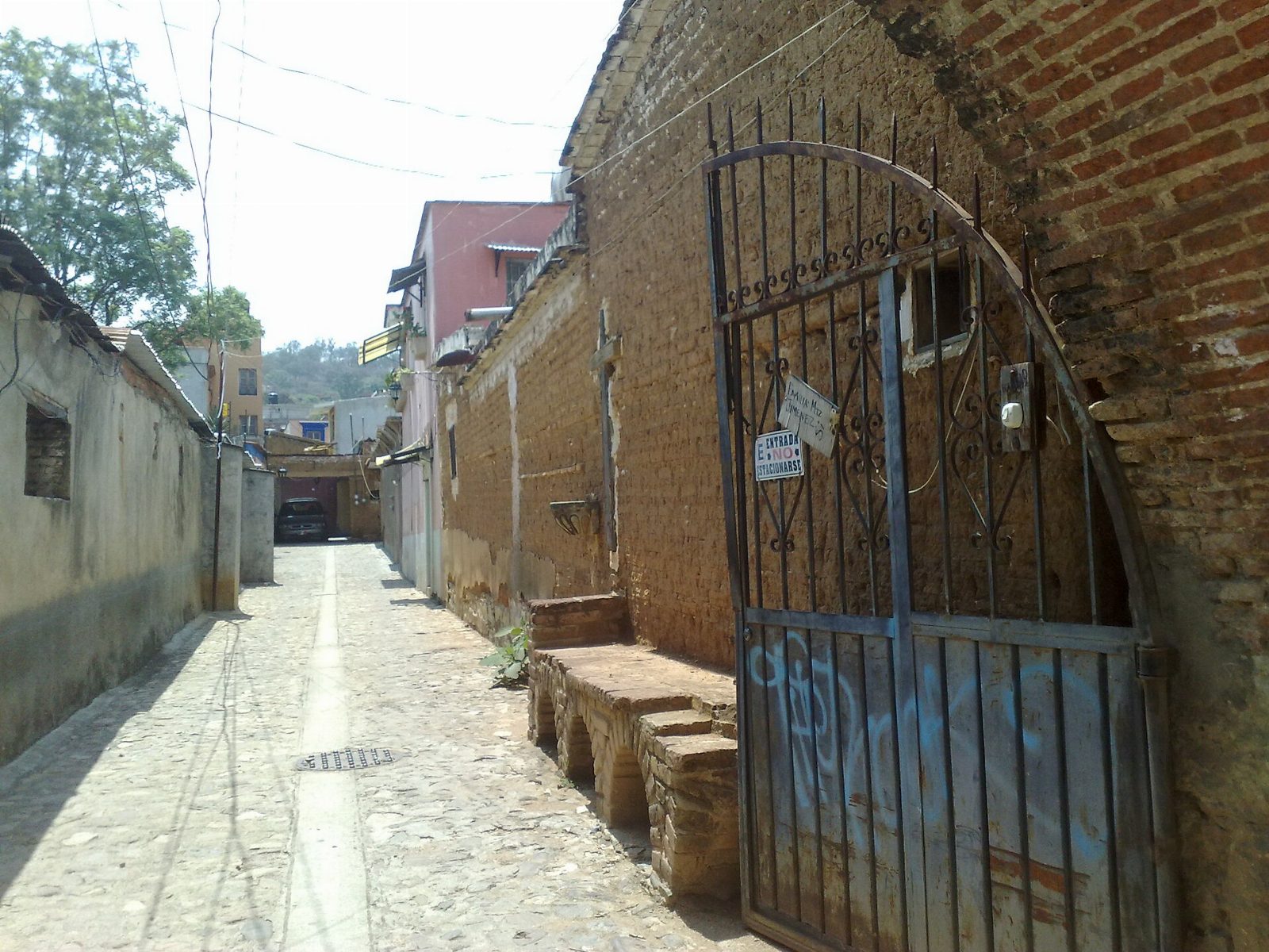 Crimen organizado recluta a niñas y niños que trabajan en las calles de Oaxaca, alerta Centro Calpulli